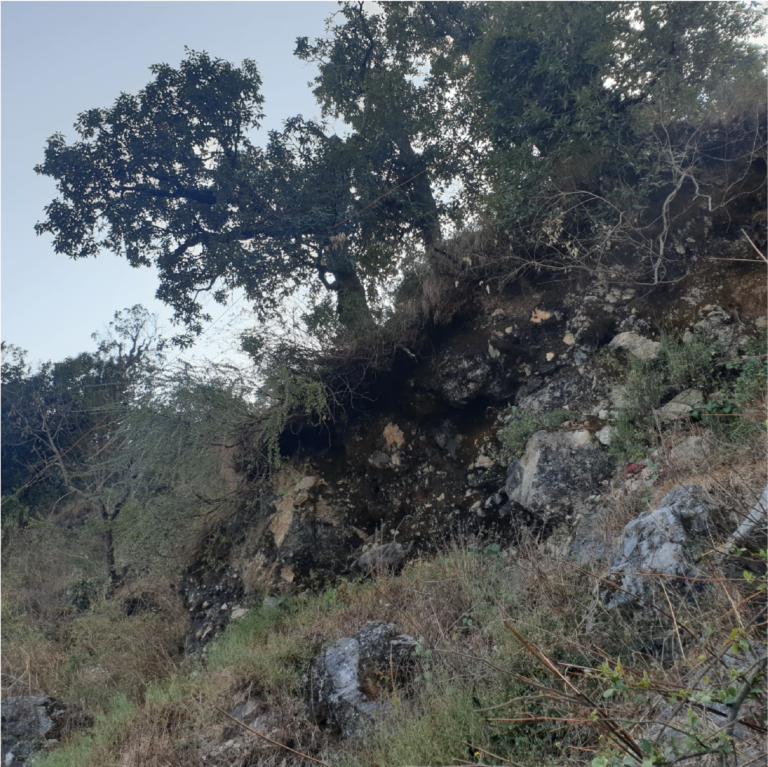Alt text 1